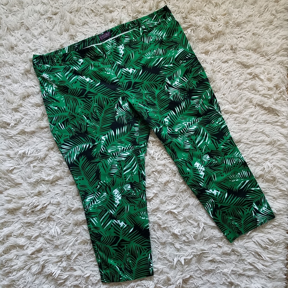 Roz & Ali tropical palm leaves print capri pants
